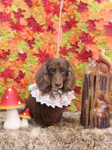 20241123ジョナくん